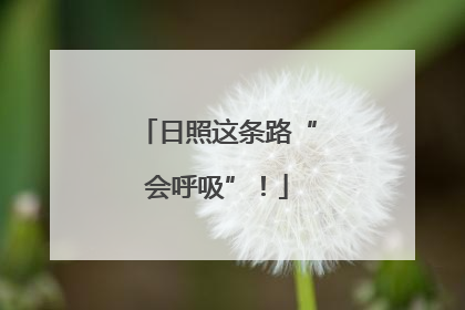 日照这条路“会呼吸”！
